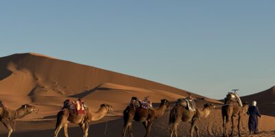 IMG_6095